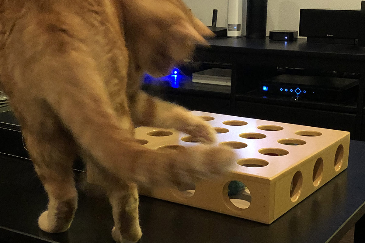 cat toy box with holes