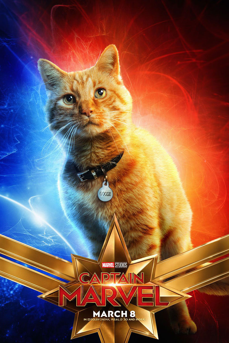 Captain Marvel Goose Poster