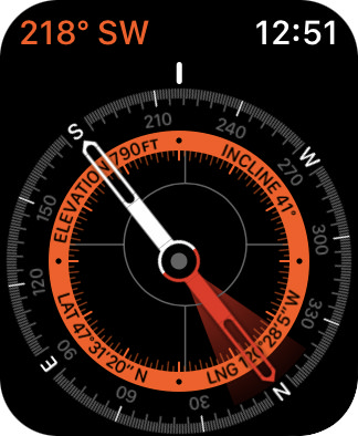 A beautiful compass on my Apple Watch!