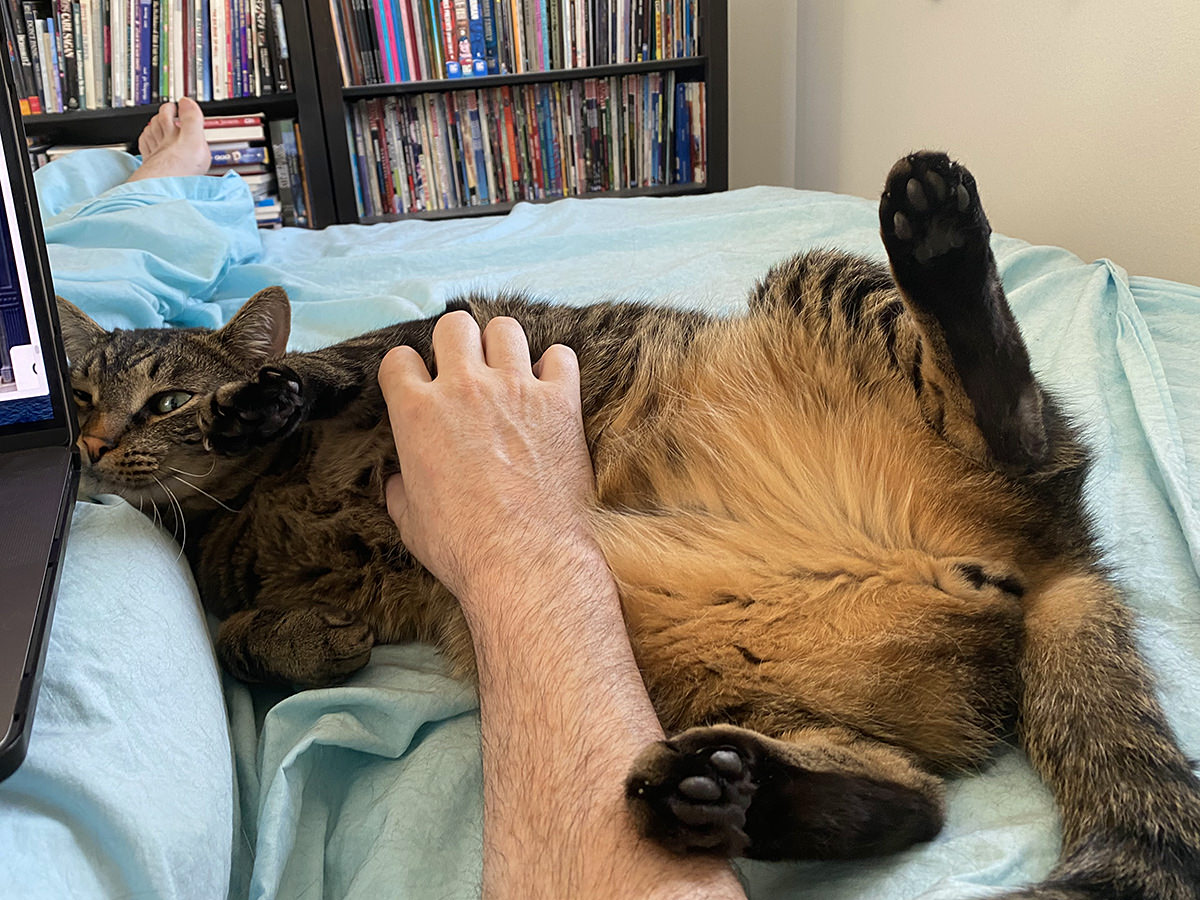 Jake getting belly rubs.