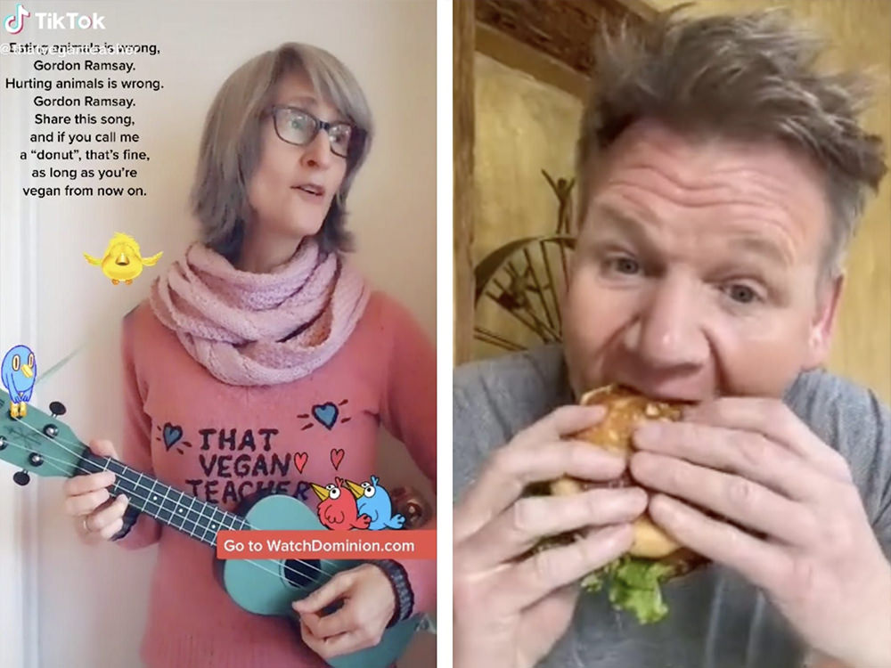 That Vegan Asshole being an asshole in a TikTok duet with Chef Gordon Ramsay