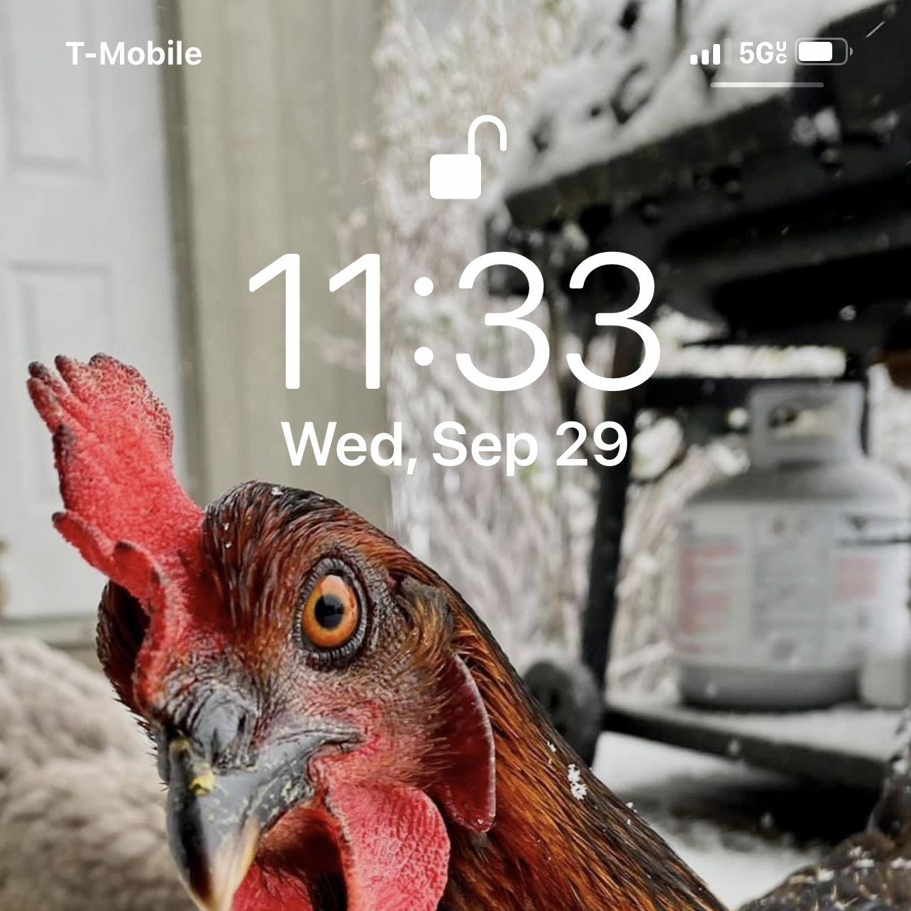 My phone lock screen as a chicken with 5GUC in the upper corner.