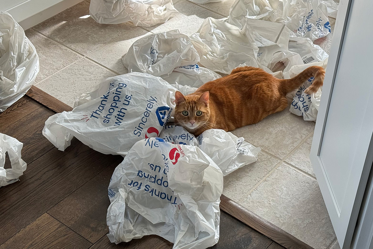 Jenny sitting in grocery bags