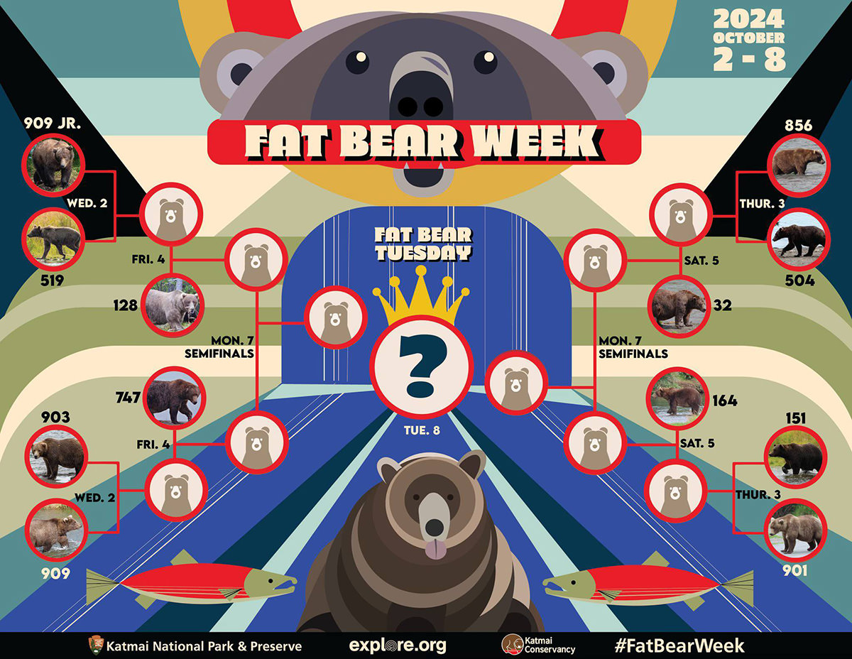 Fat Bear Week Bracket Playoffs 2024.