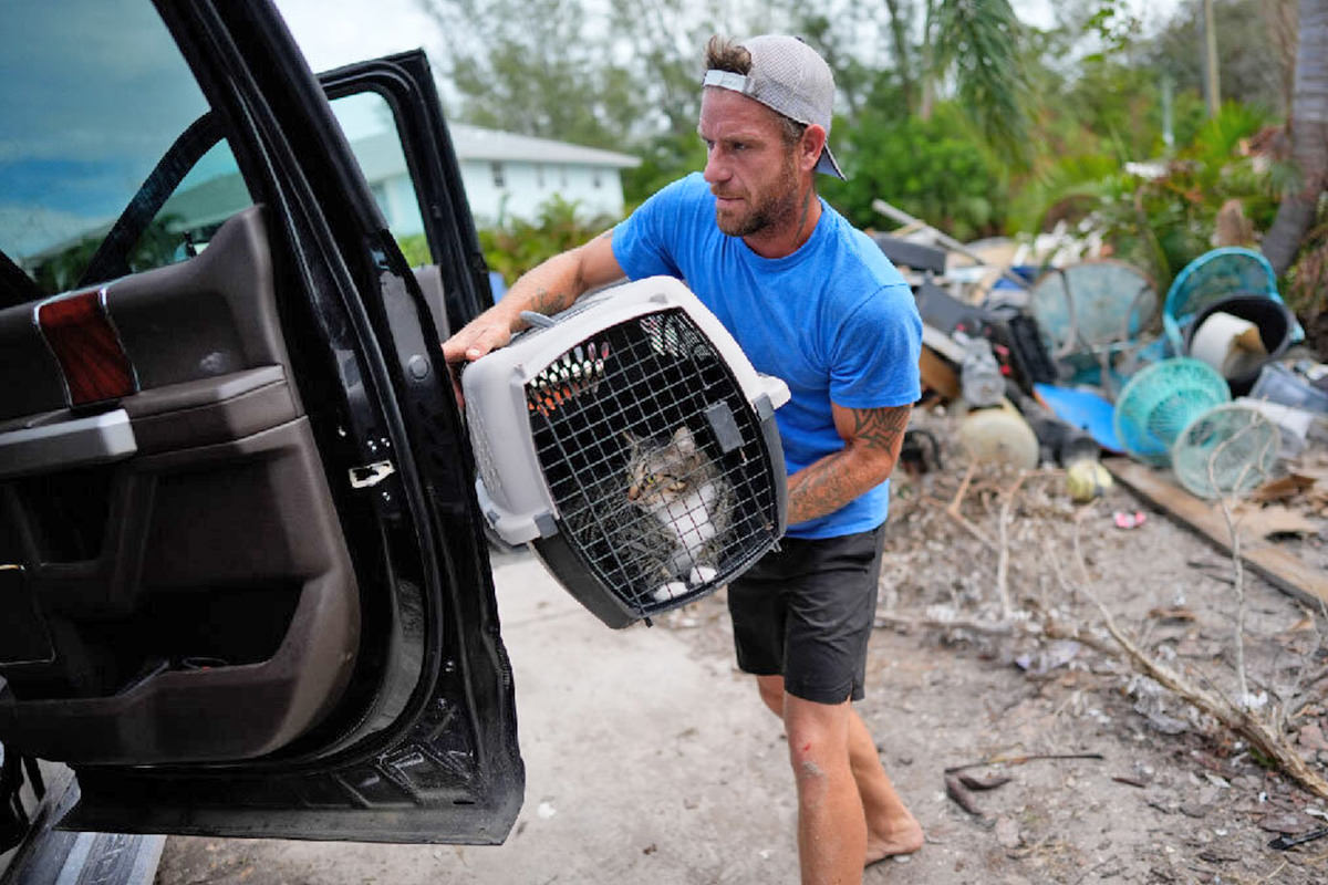 A man loading a cat carrier into his car in front of hurricane damage.