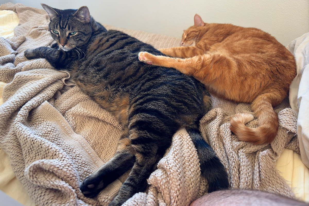 Jenny with her foot on Jake while laying on the bed.