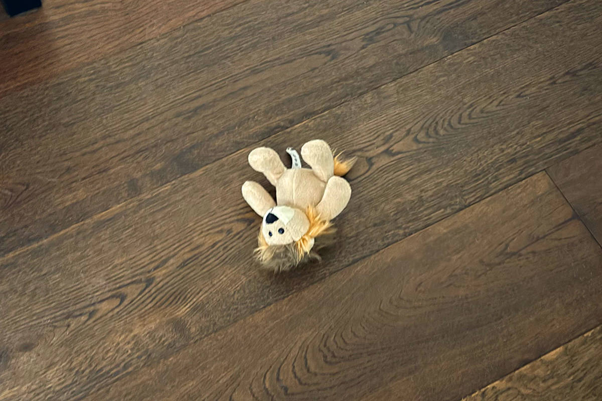 Mufasa the toy stuffed lion laying in the middle of the hallway.