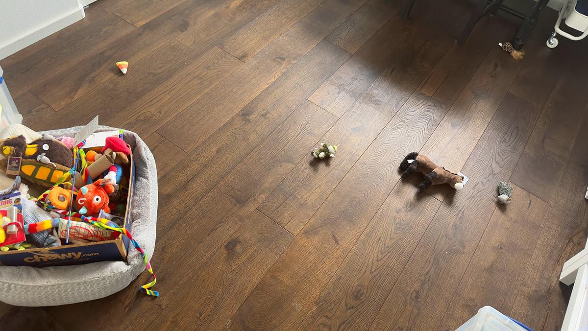 Toys scattered around my office by the cats' toy box.