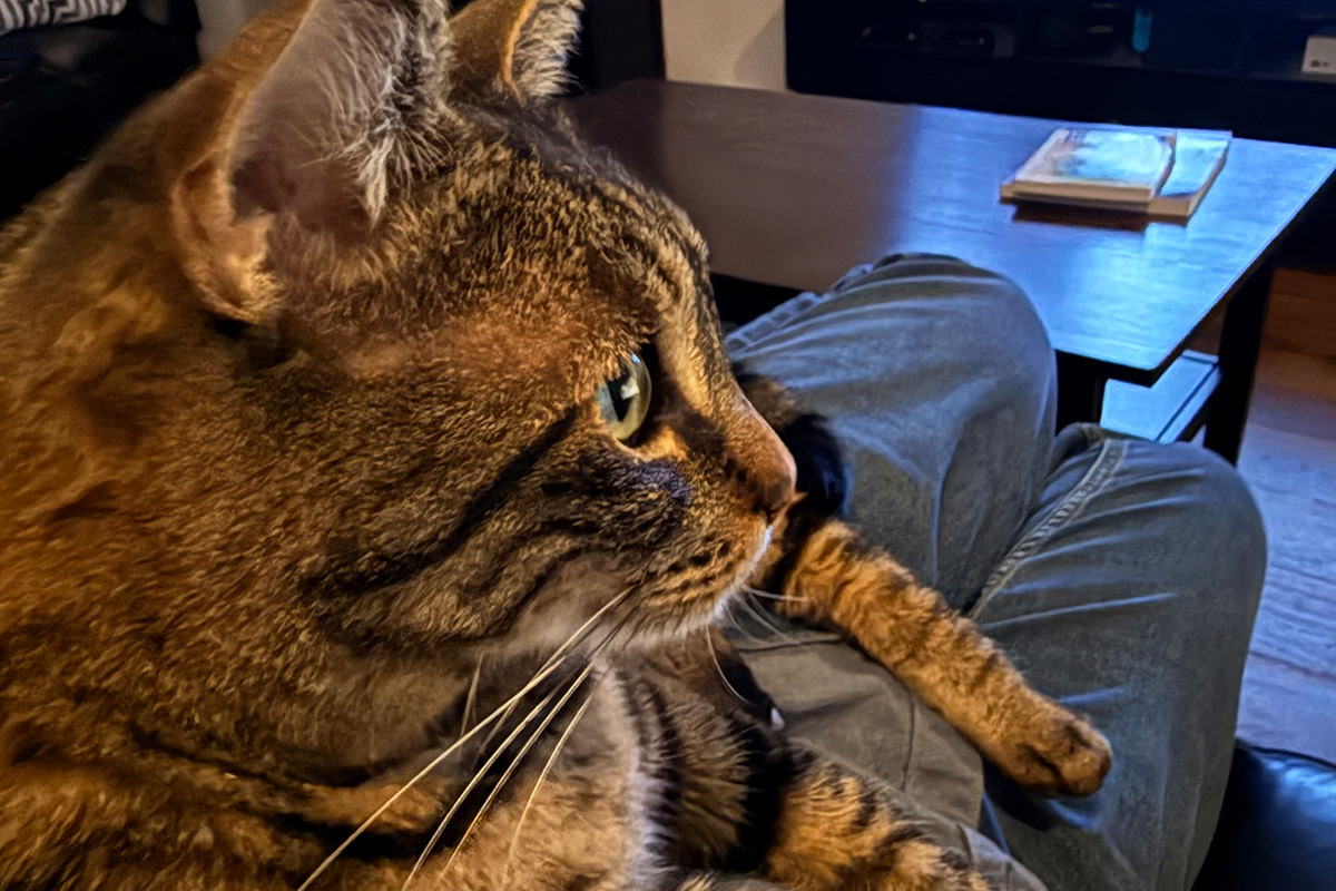 Jake staring at the computer screen.