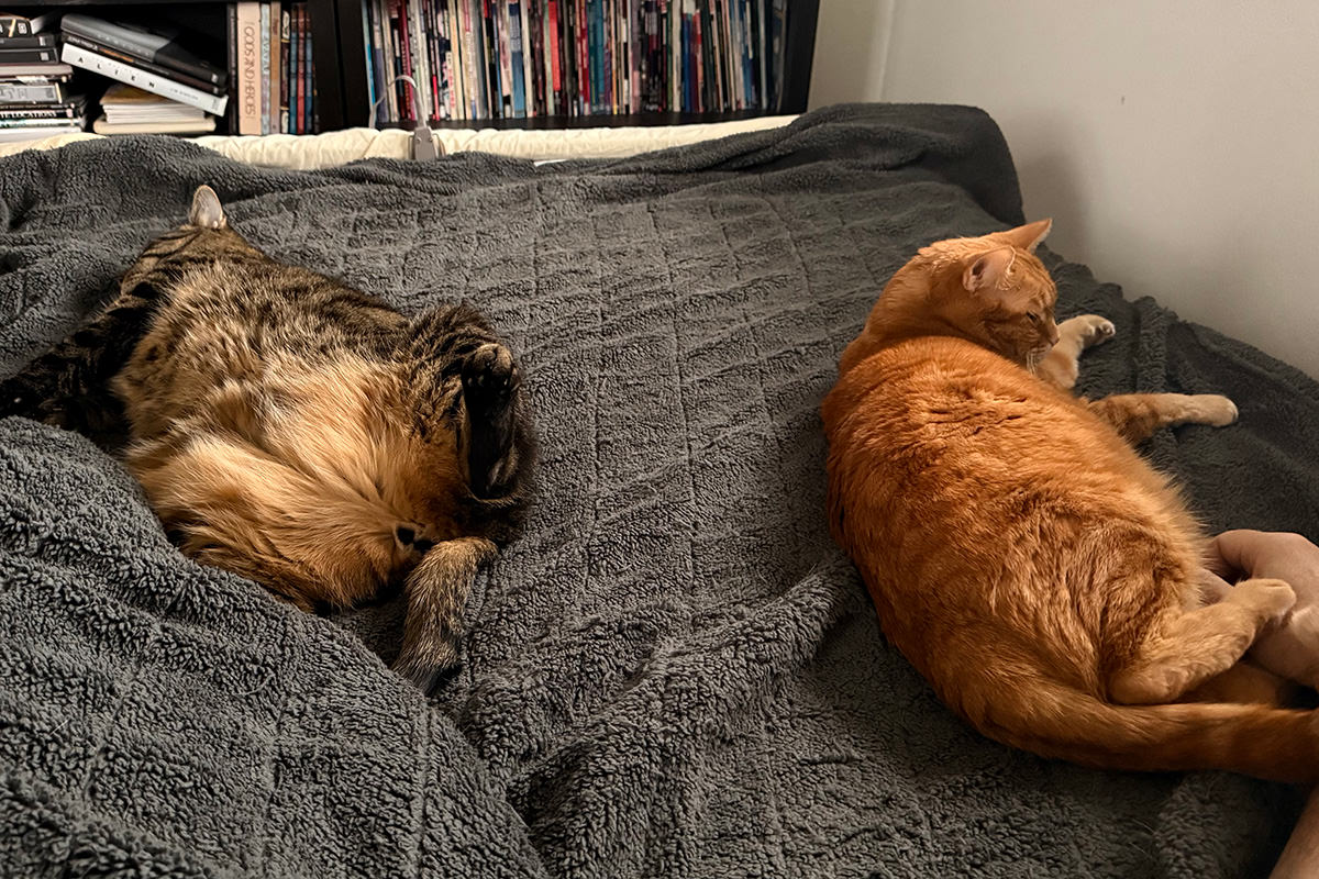 Jake and Jenny laying on the bed being indifferent towards each other.