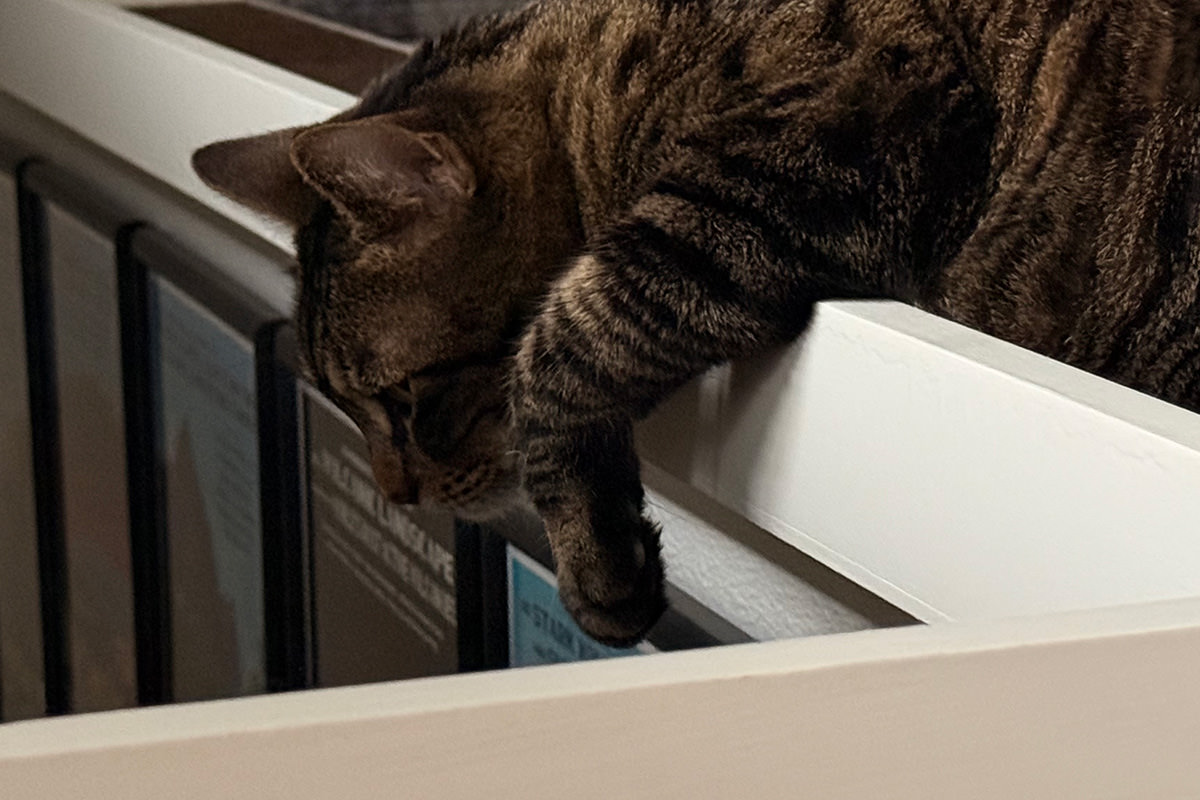 Jake waits for his sister by looking down the stairwell.