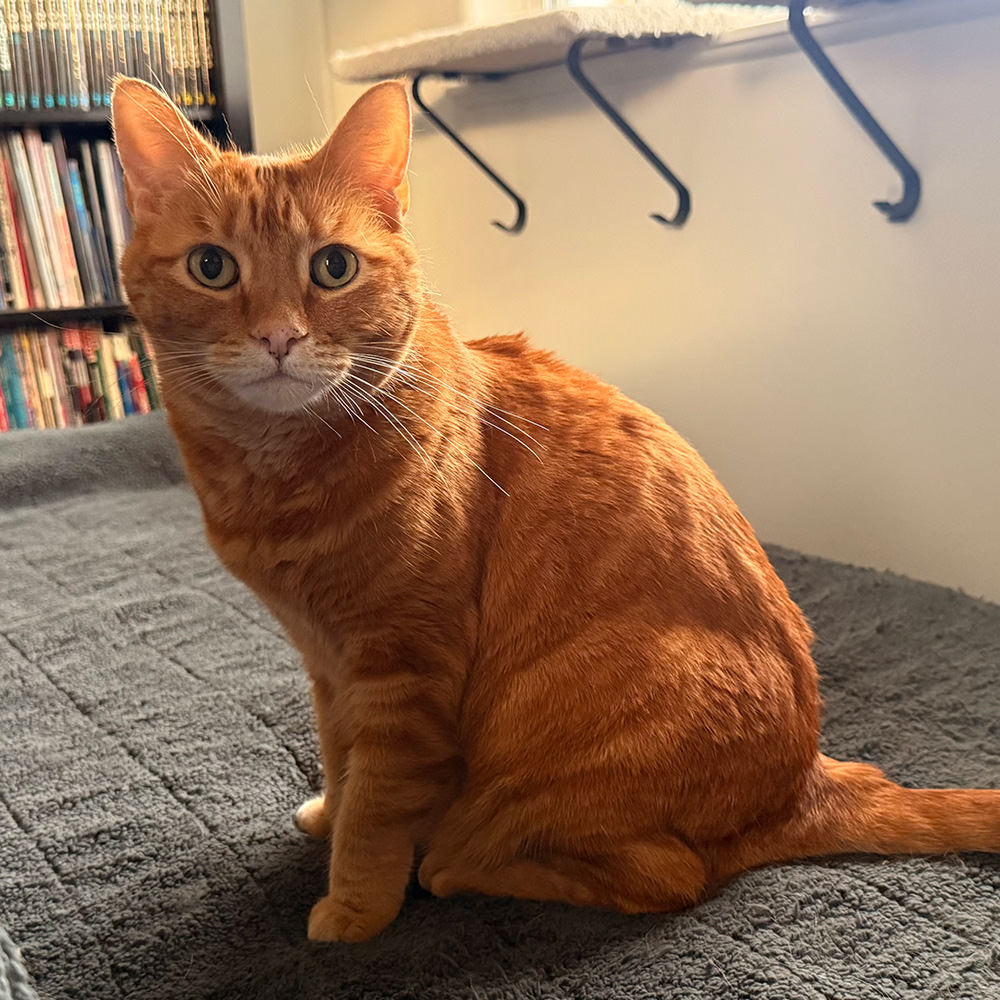 Jenny sitting down on the bed looking adorable.