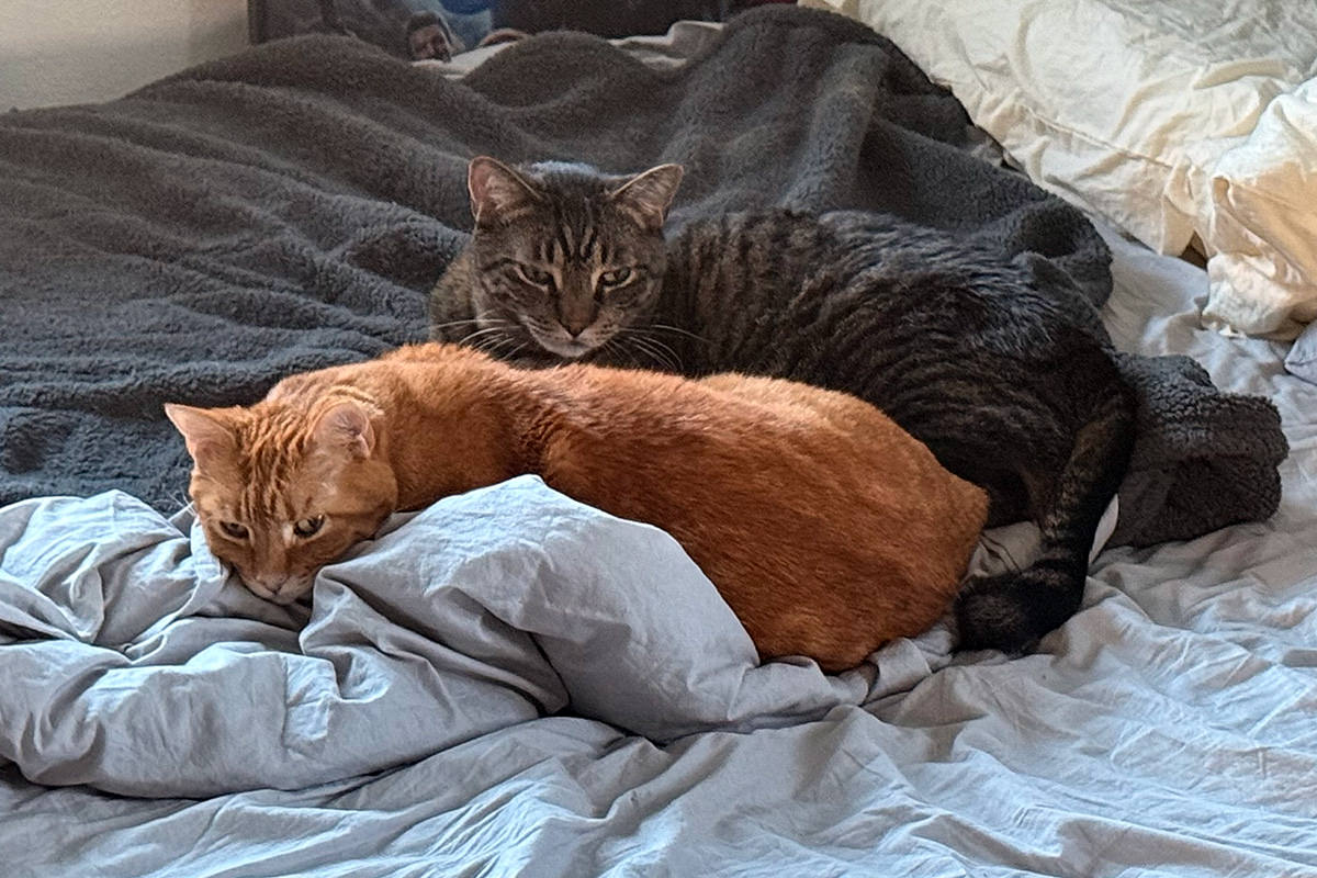 Jake and Jenny huddled on the bed being cold.