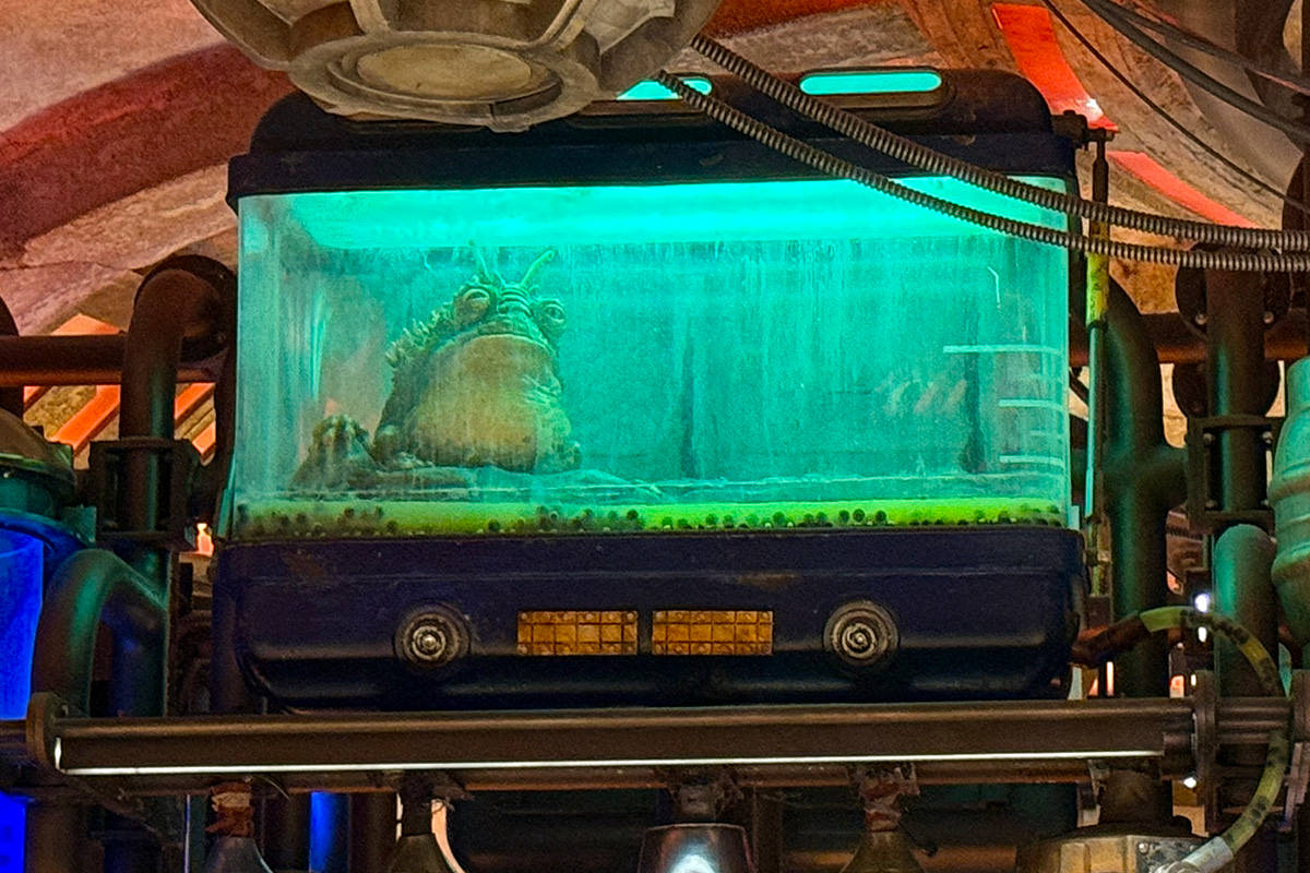 Oga's Cantina Alien Frog Captive